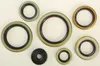 Vertex Oil Seal Kit