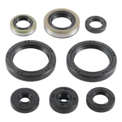 Vertex Oil Seal Kit