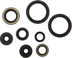 Moose Engine Oil Seal Kit