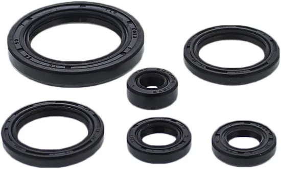 Vertex Oil Seal Kit
