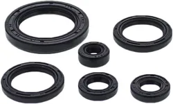Vertex Oil Seal Kit