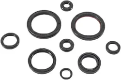 Vertex Oil Seal Kit