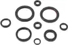 Vertex Oil Seal Kit