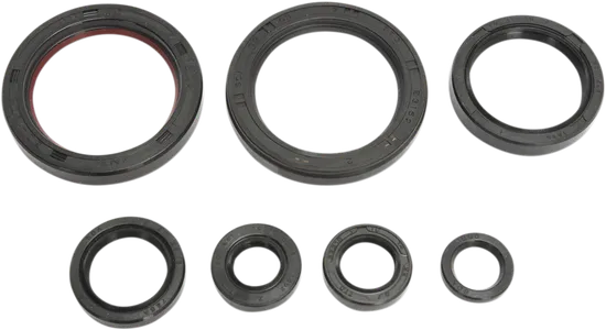 Moose Engine Oil Seal Kit For Honda