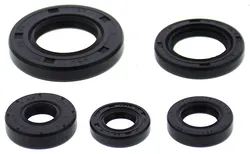 Vertex Oil Seal Kit