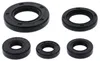 Vertex Oil Seal Kit