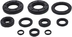 Vertex Oil Seal Kit