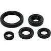 Vertex Oil Seal Kit