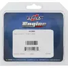 Vertex Oil Seal Kit
