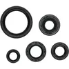 Vertex Oil Seal Kit