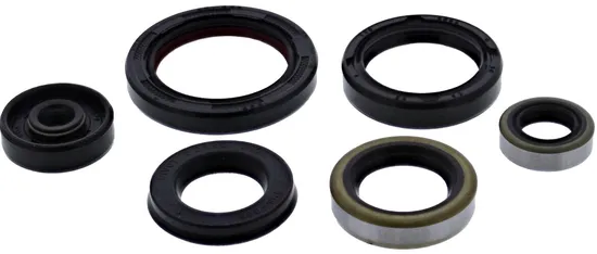 Vertex Oil Seal Kit