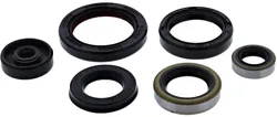 Vertex Oil Seal Kit