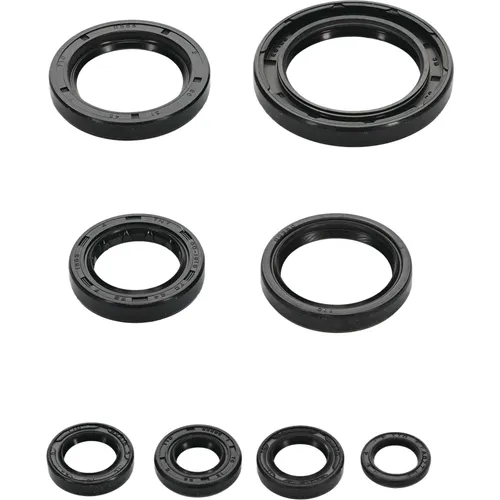 Vertex Oil Seal Kit