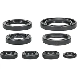 Vertex Oil Seal Kit