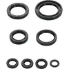 Vertex Oil Seal Kit