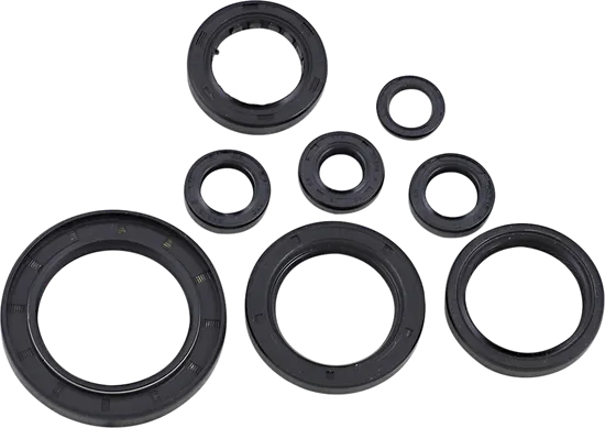 Moose Engine Oil Seal Kit