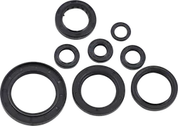 Moose Engine Oil Seal Kit