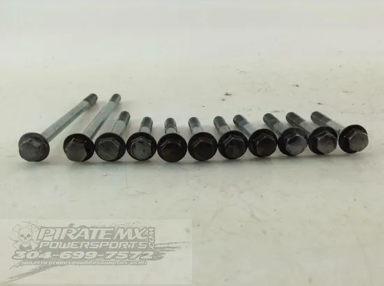 Honda Rubicon 500 Inner Stator Cover TRX500FA 2001