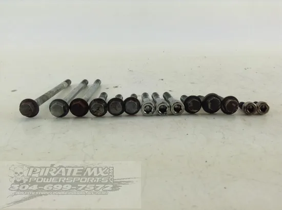 Honda Rubicon 500 Outer Stator Cover TRX500FA 2001 992A