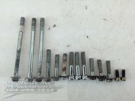 Honda Rubicon 500 Outer Stator Cover TRX500FA 2001 992A