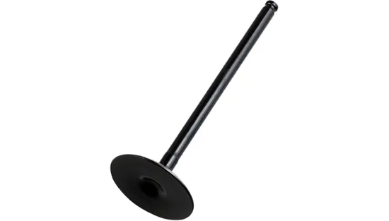 Hot Cams Titanium Intake Valve