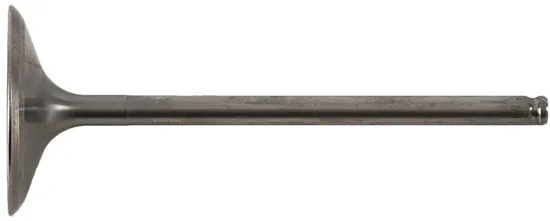 Hot Cams Titanium Intake Valve