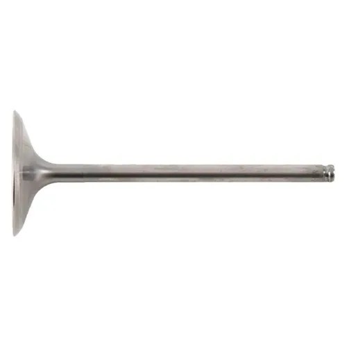 Hot Cams Titanium Intake Valve