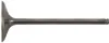 Hot Cams Titanium Intake Valve