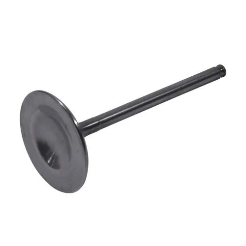 Hot Cams Titanium Intake Valve