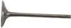 Hot Cams Titanium Intake Valve