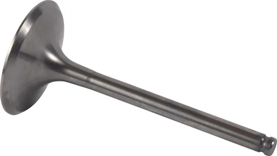 Hot Cams Titanium Intake Valve