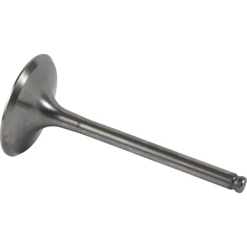 Hot Cams Titanium Intake Valve