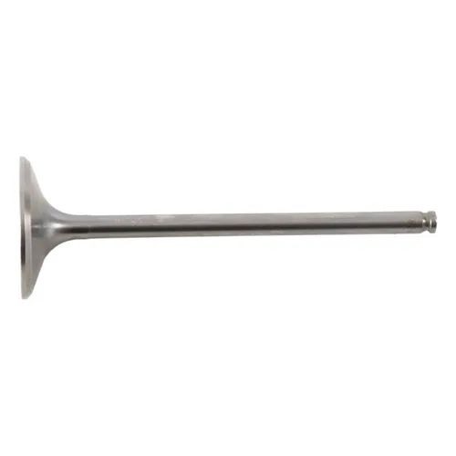 Hot Cams Titanium Intake Valve