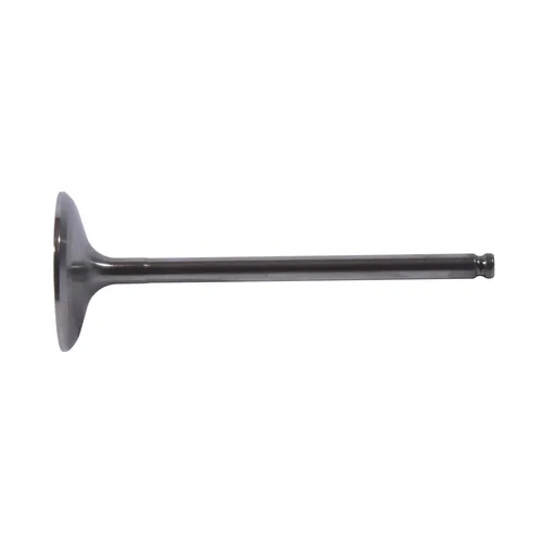 Hot Cams Titanium Intake Valve