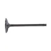 Hot Cams Titanium Intake Valve