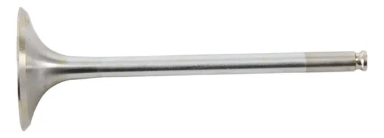 Hot Cams Steel Intake Valve for