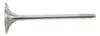 Hot Cams Steel Intake Valve for