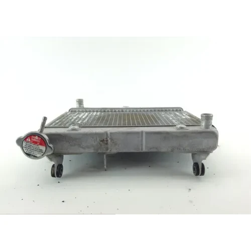 Engine Radiator Cooling Honda TRX450R TRX 450ER 450R 07 x 5