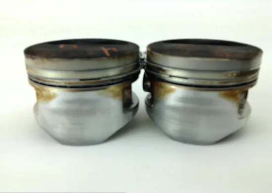 Engine Cylinder Jug W Piston 1999 Kawasaki Concours 1000 ZG1000A 1060