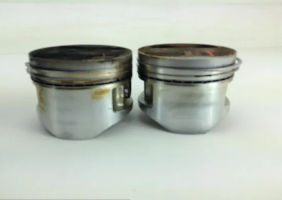 Engine Cylinder Jug W Piston 1999 Kawasaki Concours 1000 ZG1000A 1060