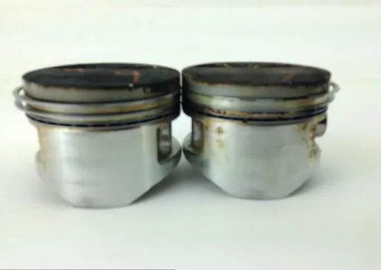 Engine Cylinder Jug W Piston 1999 Kawasaki Concours 1000 ZG1000A 1060