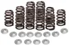 Kibblewhite Beehive Racing Valve Spring Kit