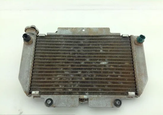 Engine Radiator Cooling 2009 Yamaha YFZ450 1103A
