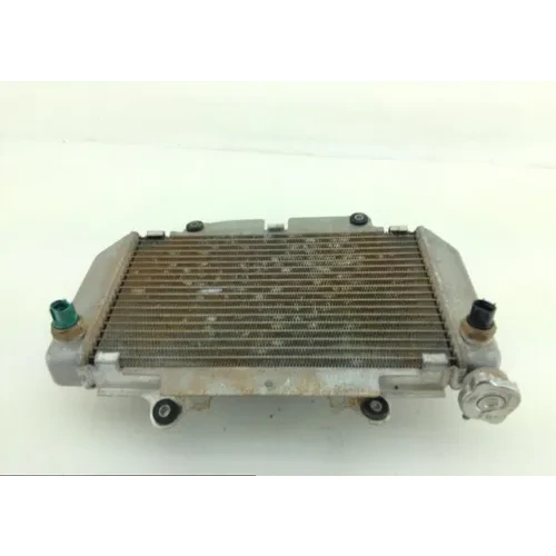 Engine Radiator Cooling 2009 Yamaha YFZ450 1103A 5