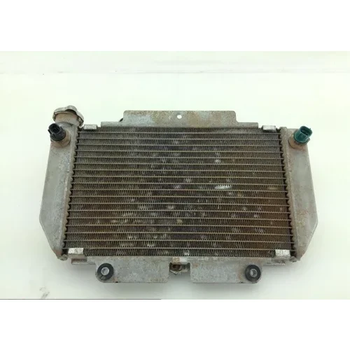 Engine Radiator Cooling 2009 Yamaha YFZ450 1103A 3