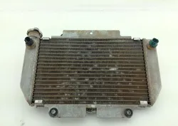 Engine Radiator Cooling 2009 Yamaha YFZ450 1103A