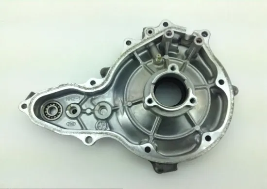 Honda Rubicon 500 Outer Stator Cover TRX500FA 2001 1098A