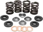 Kibblewhite Titanium Intake Exhaust Valve Spring Kit