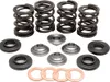 Kibblewhite Titanium Intake Exhaust Valve Spring Kit
