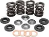 Kibblewhite Titanium Intake Exhaust Valve Spring Kit